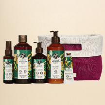 Cesto Presente Baunilha Bourbon | Yves Rocher Portugal
